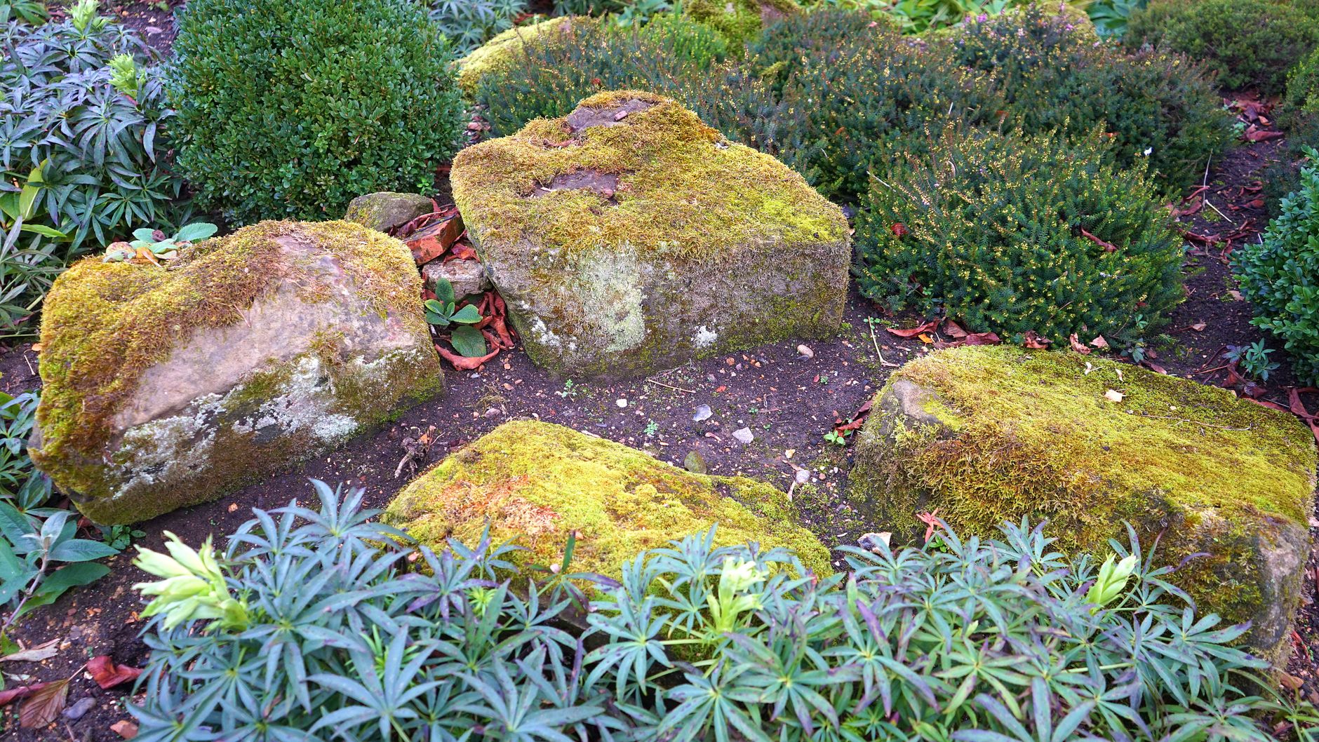 Landscaper services in West Bromwich, SJS Landscaping Limited