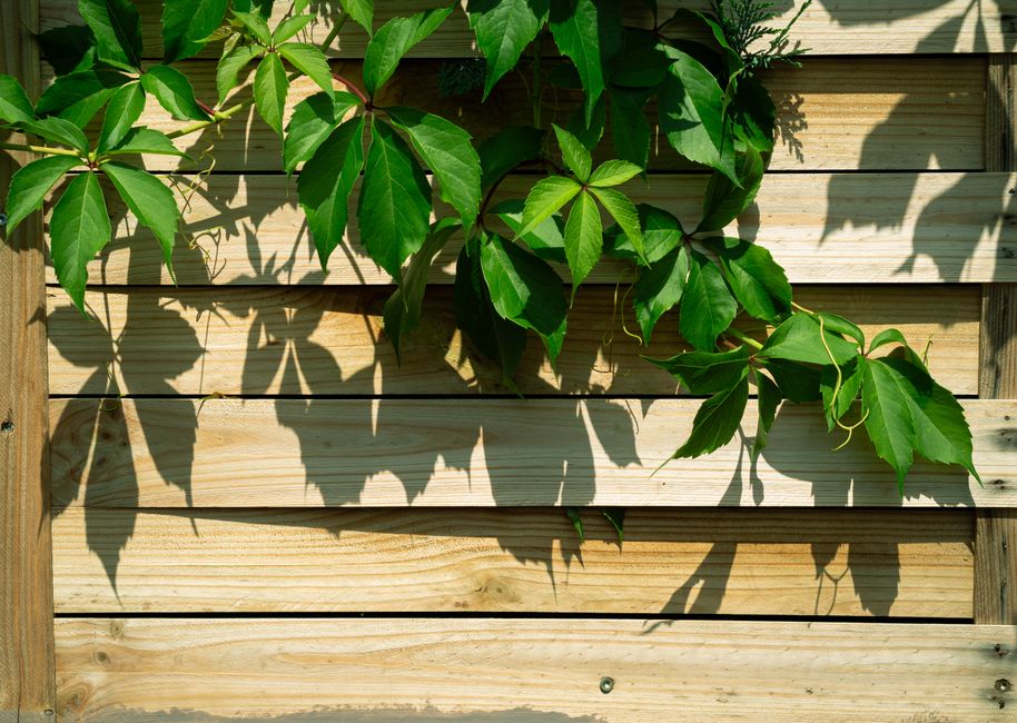 Fencing in West Bromwich